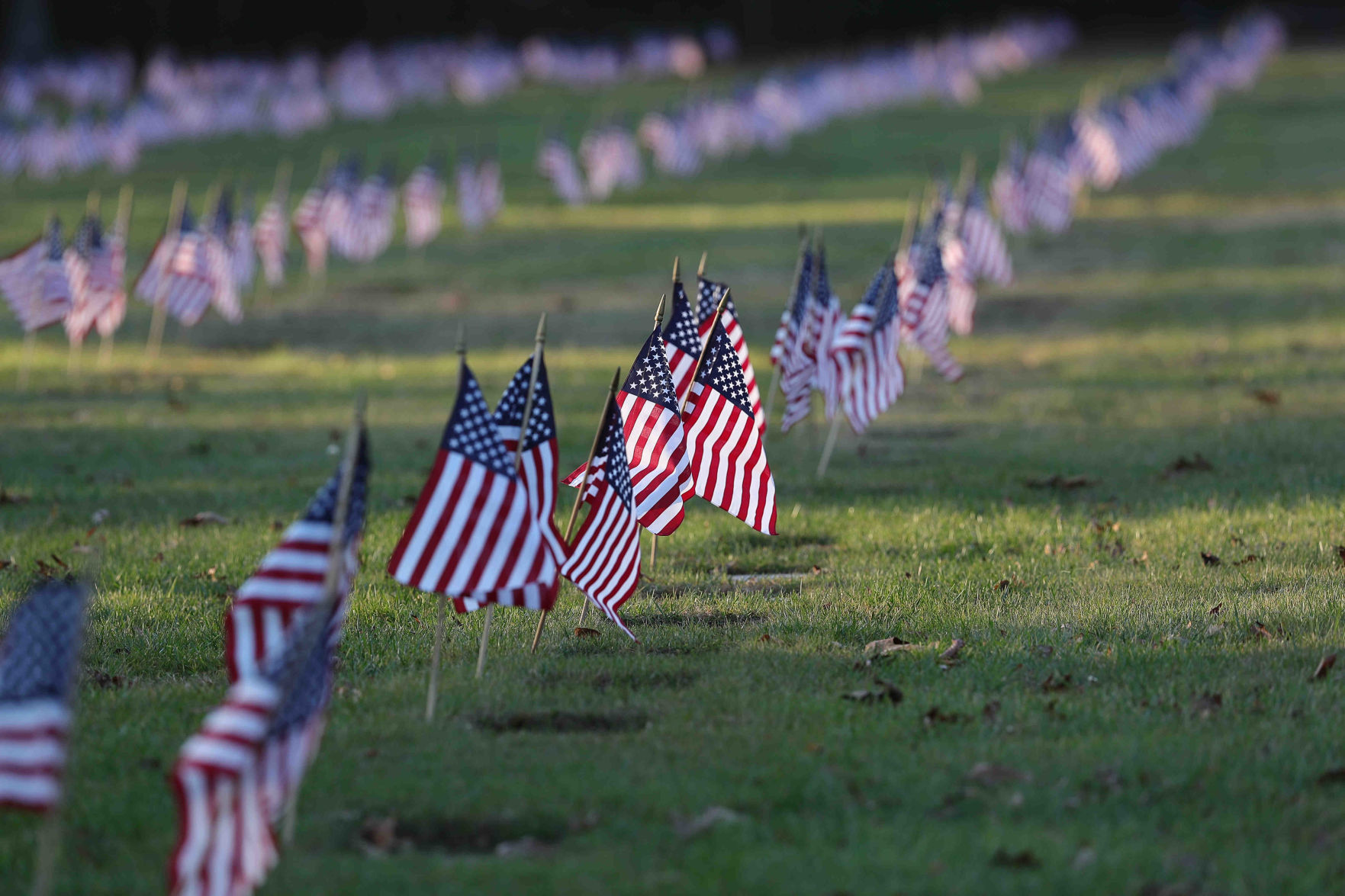 Scouts planted American Flags ahead of Veterans Day